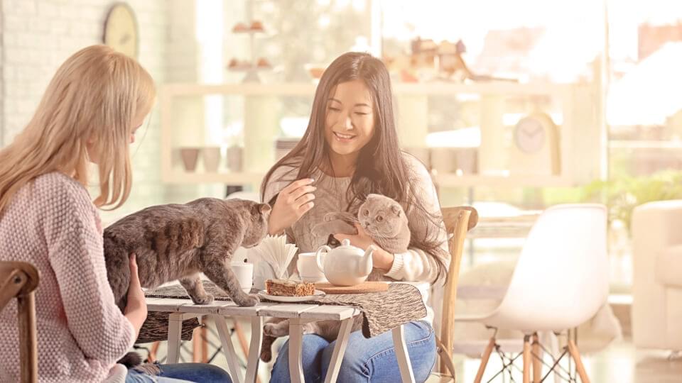 Young women having a coffee