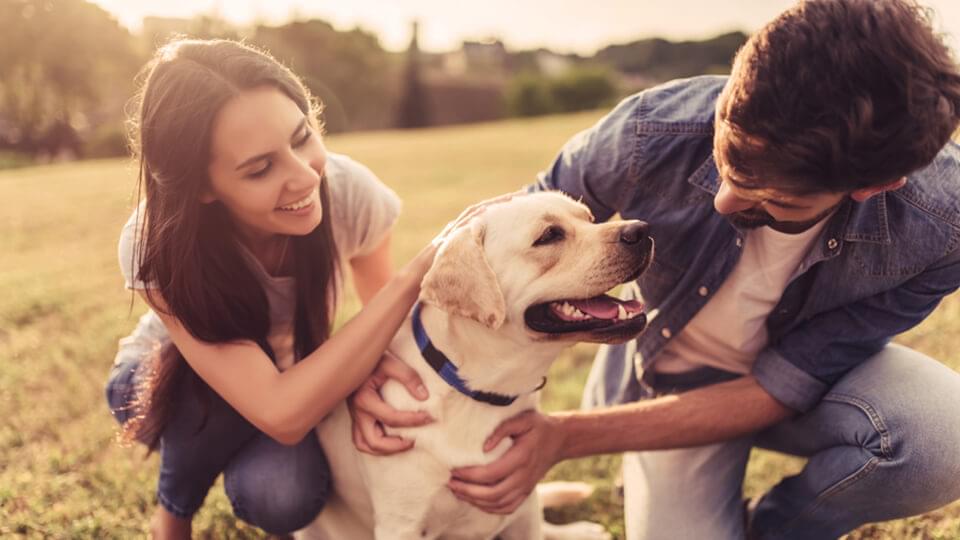 Young couple playing outdoors with their pet dog